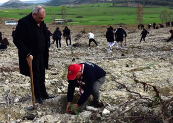 Gençlik Dairesi organizasyonunda 550 fidan ekildi