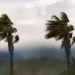 Meteoroloji Dairesi karada ve taurusta etkili olacak fırtınamsı rüzgar uyarısında bulundu