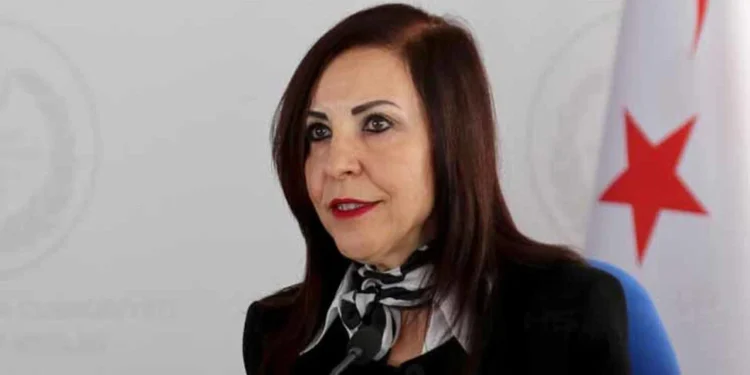 Emine Dizdarlı: Sayın Üstel’in ‘garantörlük eşittir iki devlet’ açıklaması tamamen yanıltıcı