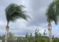 Meteoroliji Dairesi’nden “fırtınamsı rüzgar” uyarısı