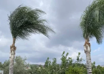 Meteoroliji Dairesi’nden “fırtınamsı rüzgar” uyarısı