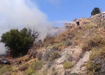 Taşkent’le Güngör arasındaki yangın söndürüldü