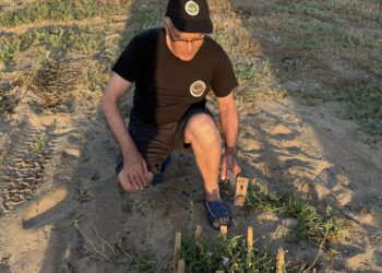 Her Daim Doğa Dostları’ndan Deniz Şebboyu için koruma çabası