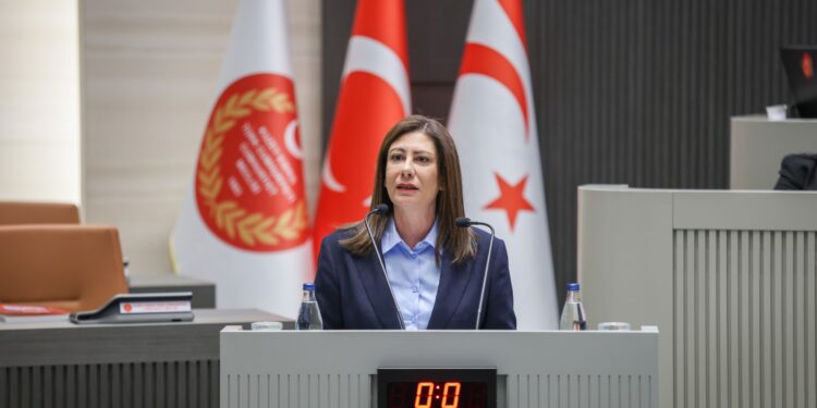 İncirli: “Ülkenin dijital güvenliği ciddi bir güvenlik meselesi”