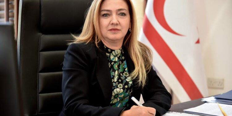 Ombudsman Varol: “Karara bağlanmayan yasa gücünde kararnameler 90 günde yürürlükten kalkar”