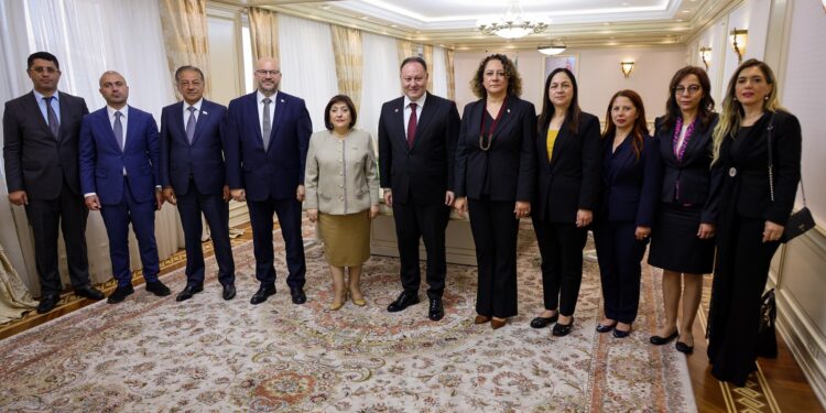 Öztürkler, Azerbaycan Milli Meclisi Başkanı Gafarova ile görüştü