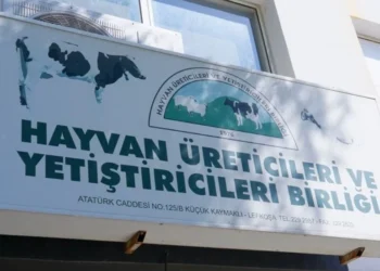 Hayvan Üreticileri Birliği, TAK’ın basın toplantısını yayımlamamasını kınadı: Birlik açıklama bekliyor