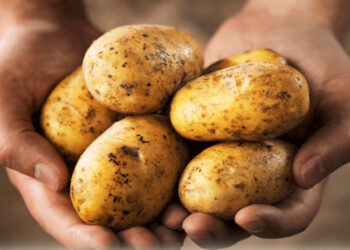 Patates üreticileri için itiraz süresi çarşambaya kadar uzatıldı
