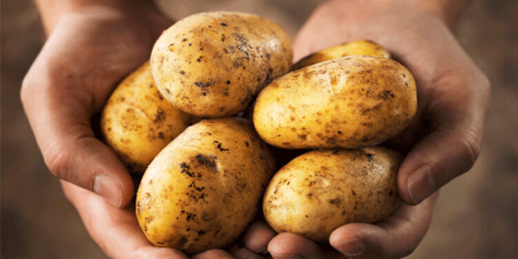 Patates üreticileri için itiraz süresi çarşambaya kadar uzatıldı