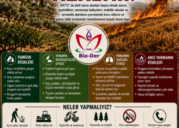 Biyologlar Derneği: “Kuru otların ve yanıcı bitki örtüsünün düzenli temizlenmesi hayati önem taşıyor”