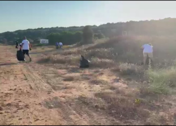 Çayırova Halk Plajı’nda temizlik etkinliği düzenlendi