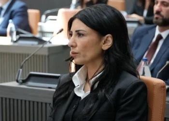 Fazilet Özdenefe: “Abi” siyaseti değil, ülkeyi yönetecek ciddiyet lazım