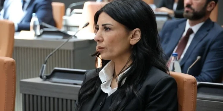 Fazilet Özdenefe: “Abi” siyaseti değil, ülkeyi yönetecek ciddiyet lazım