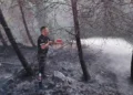 Serdarlı’daki orman yangınında 30 dönüm alan zarar gördü