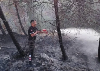 Serdarlı’daki orman yangınında 30 dönüm alan zarar gördü