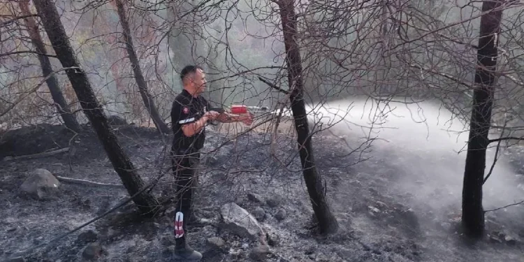 Serdarlı’daki orman yangınında 30 dönüm alan zarar gördü